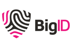 BigID Ideas Portal Ideas Portal Logo